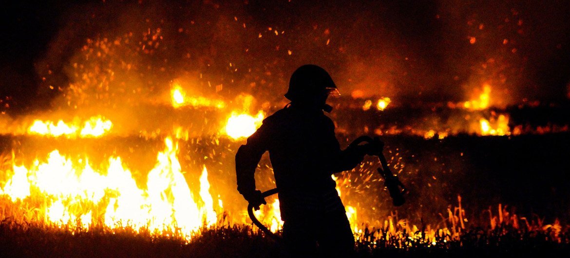 A firefighter battles a forest wildfire. (file)