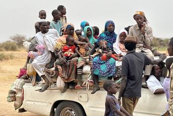 A caravan full of displaced families fleeing North Darfur's El Fasher in search of safety. Across Sudan, more than 12 million people have been driven from their homes.