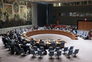 Wide view of the Security Council.