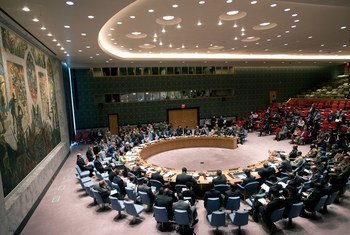 A wide view of the Security Council.