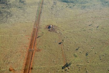 Deforestation in the Amazon area of Brazil is driven mainly by industry and agriculture.